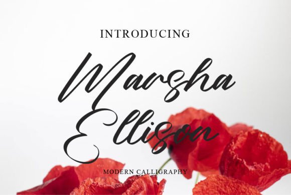 Marsha Ellison: The Script Typeface for Scroll-Stopping Brand Identity